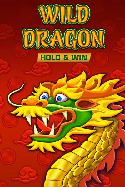 Wild Dragon